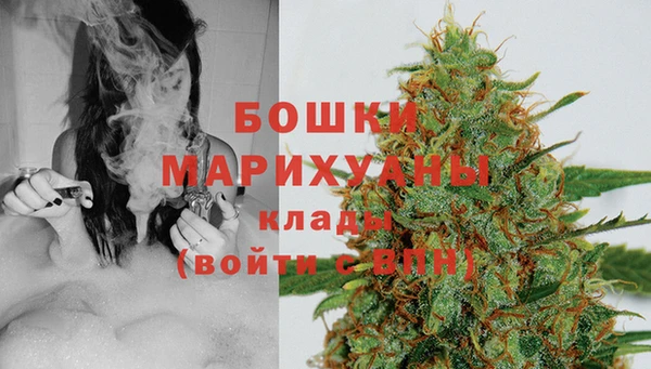 гидра Богородицк