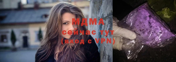 гидра Богородицк