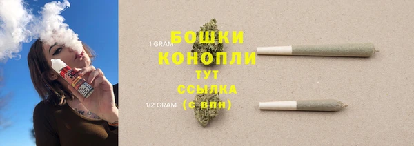 прущие грибы Богородск