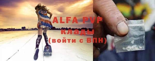 гидра Богородицк