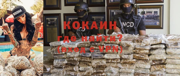 прущие грибы Богородск
