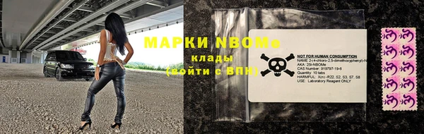 гидра Богородицк