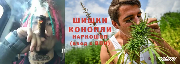 гидра Богородицк