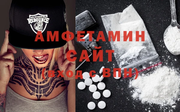 гидра Богородицк