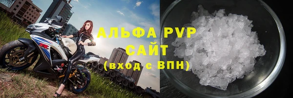 гидра Богородицк
