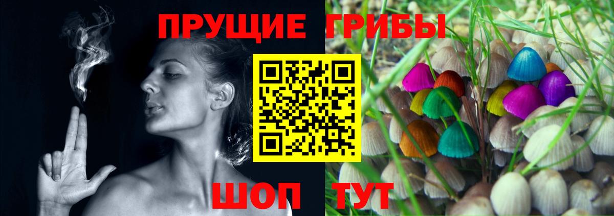 Вязники  Галлюциногенные грибы GOLDEN TEACHER  Псилоцибиновые грибы мицелий  Вход с VPN 