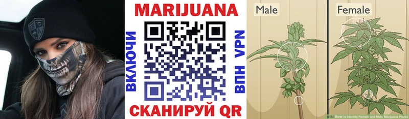 Шишки марихуана VHQ  MEGA маркетплейс  Вязники 